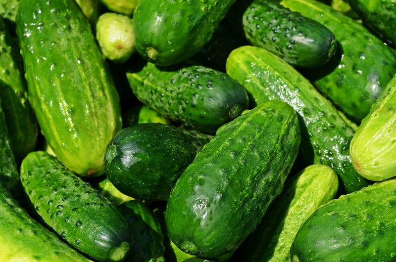 Fresh Ingredients